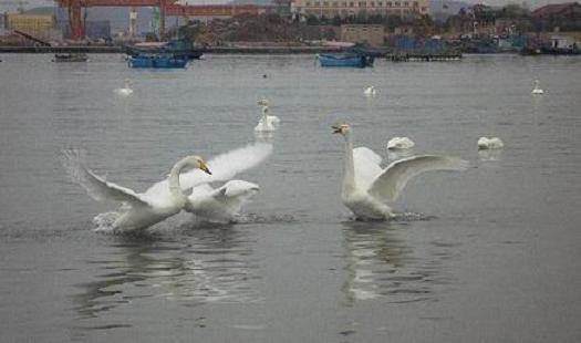 P1020726.JPG