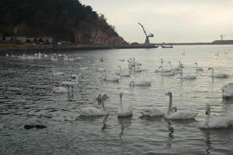 P1020673_conew1.jpg