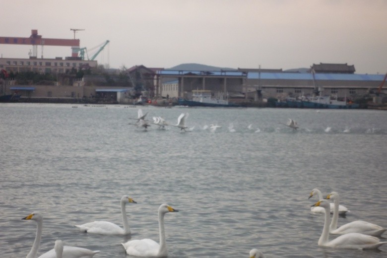 P1020658_conew3.jpg