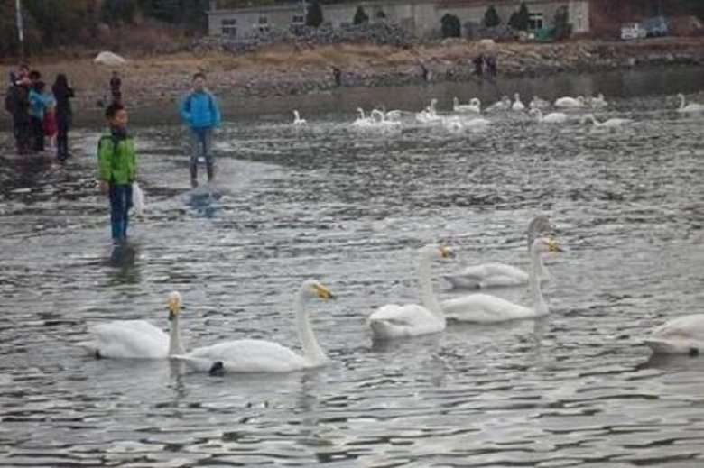 P1020677_conew1.jpg
