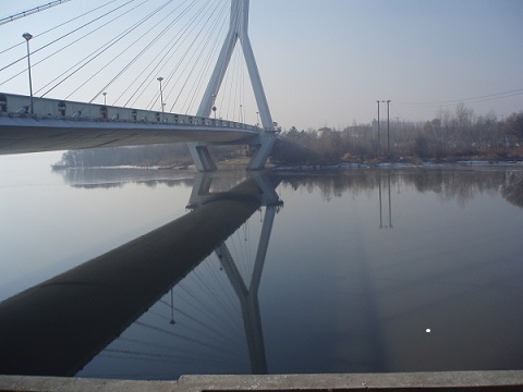PB161053.JPG