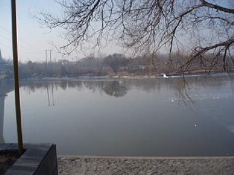 PB161056.JPG
