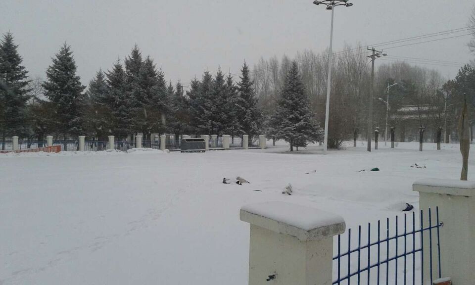 QQͼƬ20141202210702.jpg