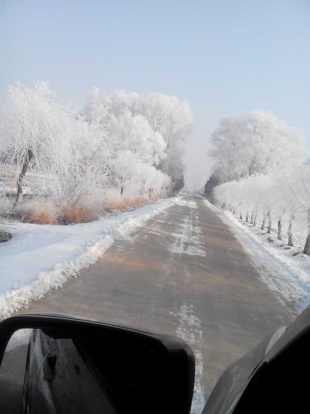QQͼƬ20141202210640.jpg