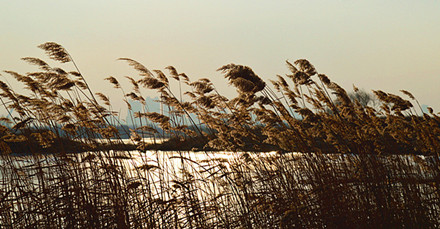 DSC_0643__.jpg