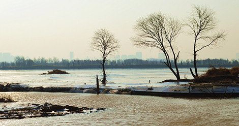 DSC_0648__.jpg