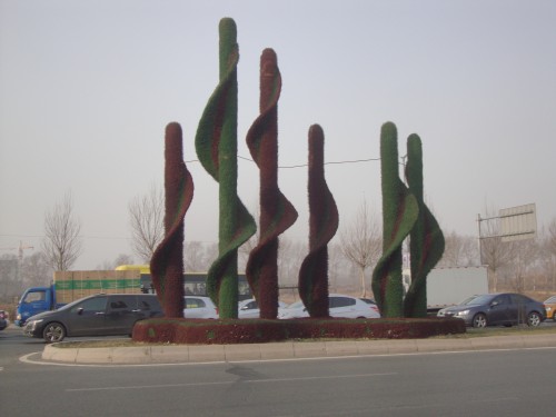 DSC08858_conew1.jpg