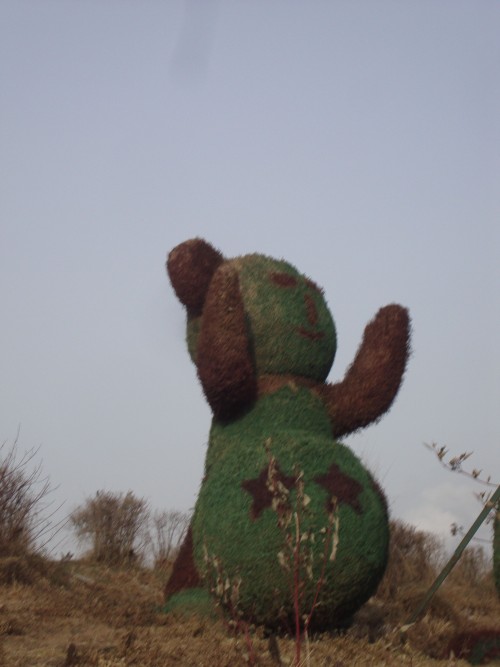 DSC08874_conew1.jpg