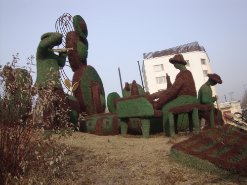 DSC08872_conew1.jpg