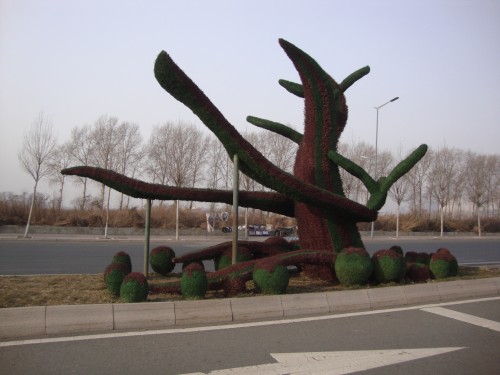 DSC08860_conew1.jpg