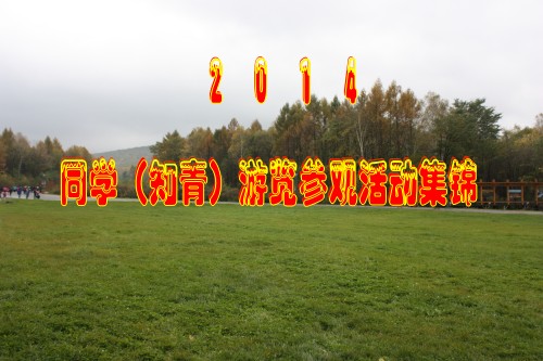 IMG_7800_conew1.jpg