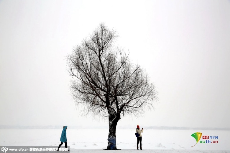 W020141210534015601177_conew1.jpg