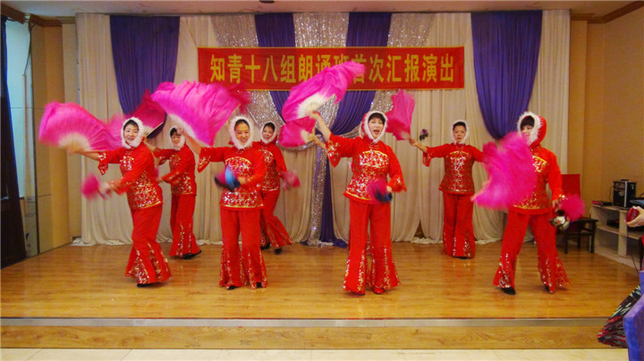 DSC08154.jpg