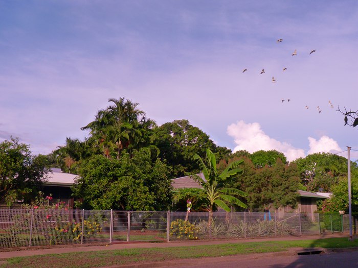 125.jpg