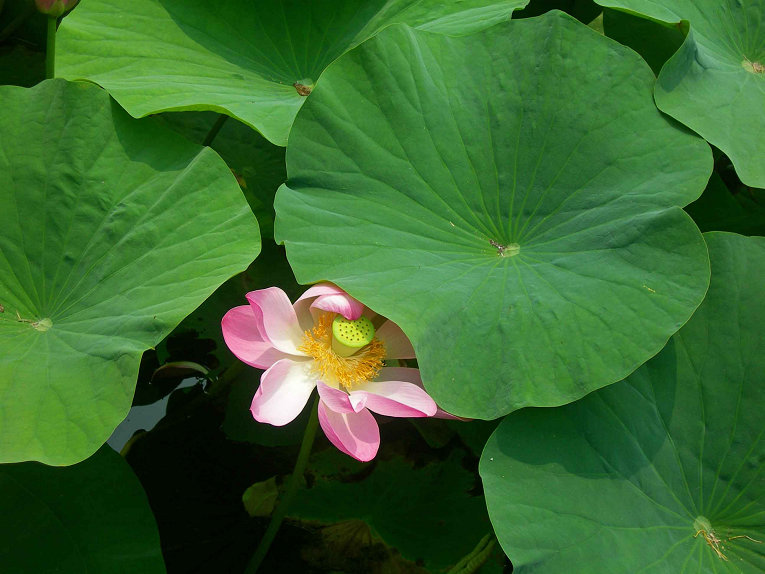 2-DSCN4013-3.jpg