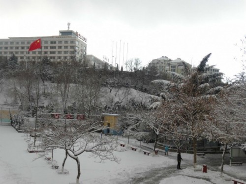222.jpg