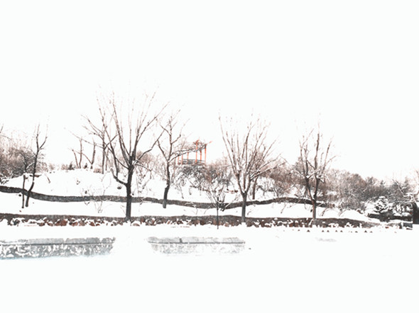 DSC00456__.jpg