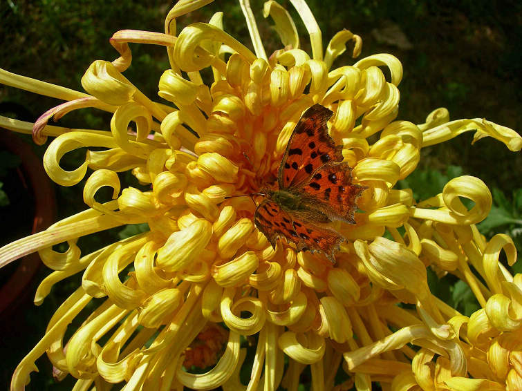 1-DSCN7500-3.jpg