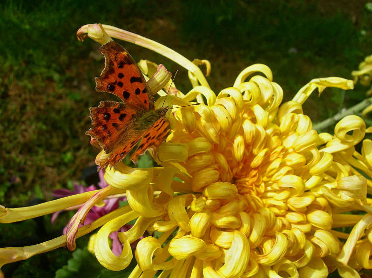 4-DSCN7499-3.jpg