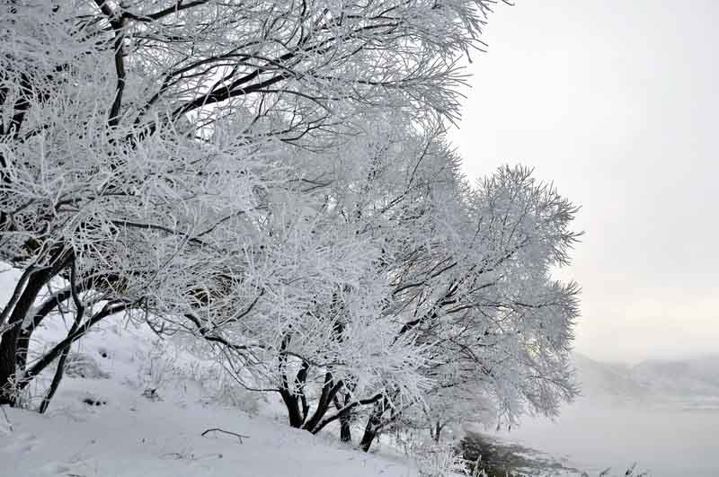 DSC_0449_С.JPG