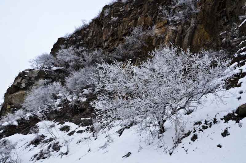 DSC_3994_С.JPG