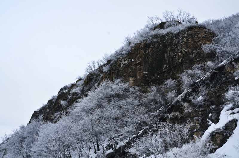DSC_3997_С.JPG