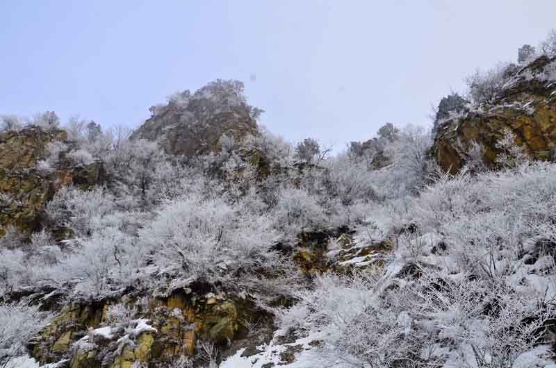 DSC_4109_С.JPG