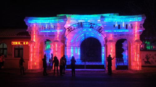 DSC09703_conew1.jpg