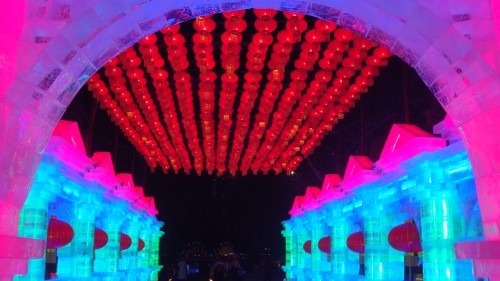DSC09886_conew1.jpg