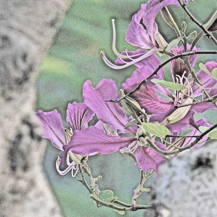 Ͼ 01.jpg