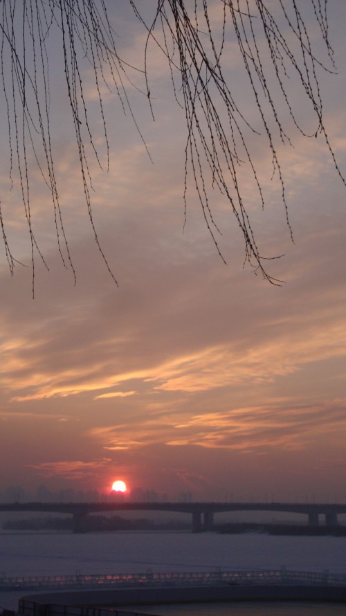 DSC09920_conew1.jpg