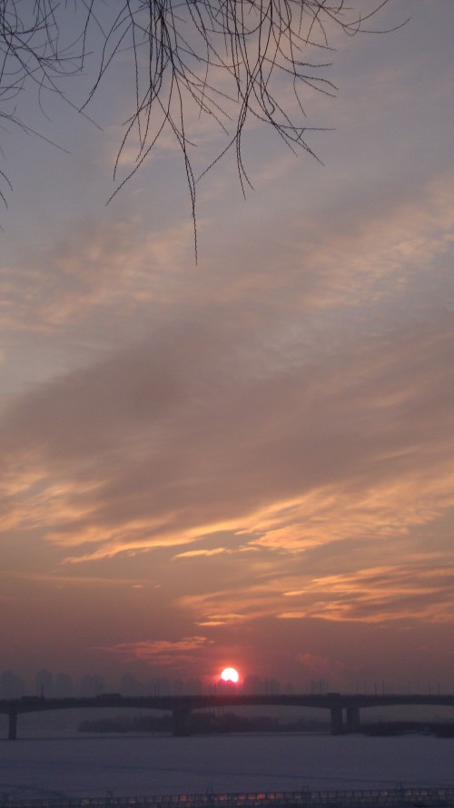 DSC09922_conew1.jpg