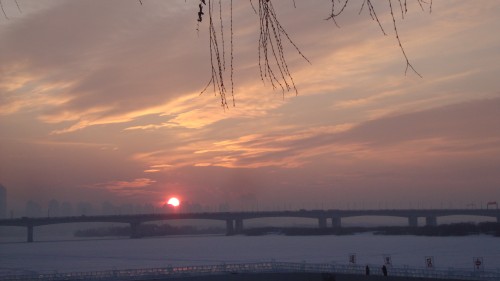 DSC09923_conew1.jpg