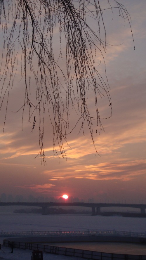 DSC09924_conew1.jpg