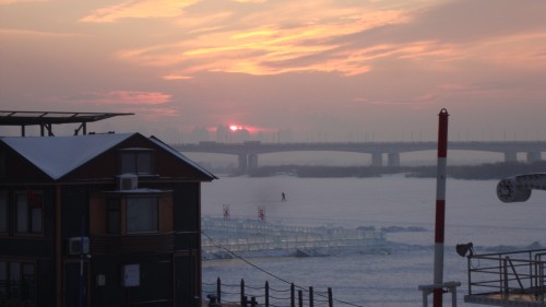DSC09925_conew1.jpg