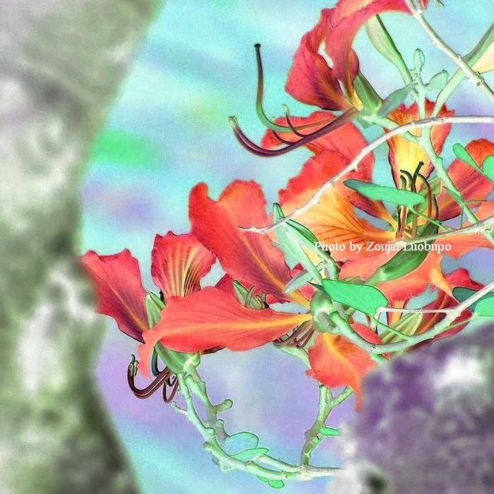 Ͼ 03.jpg