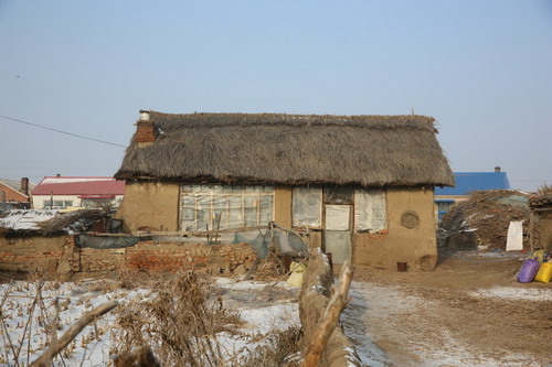 p3.jpg