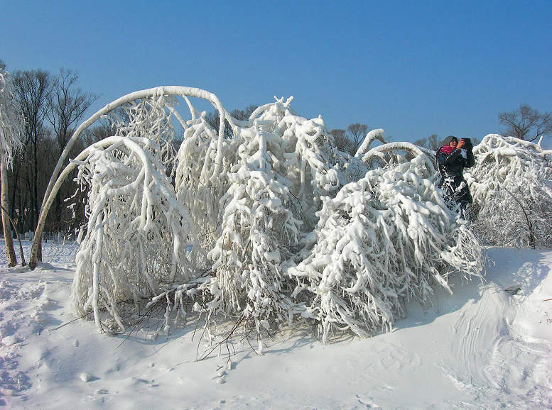 1-DSCN1522-3.jpg