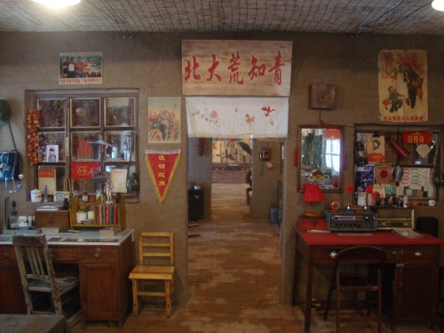DSC00631_conew1.jpg