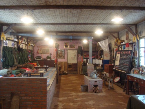 DSC00655_conew1.jpg