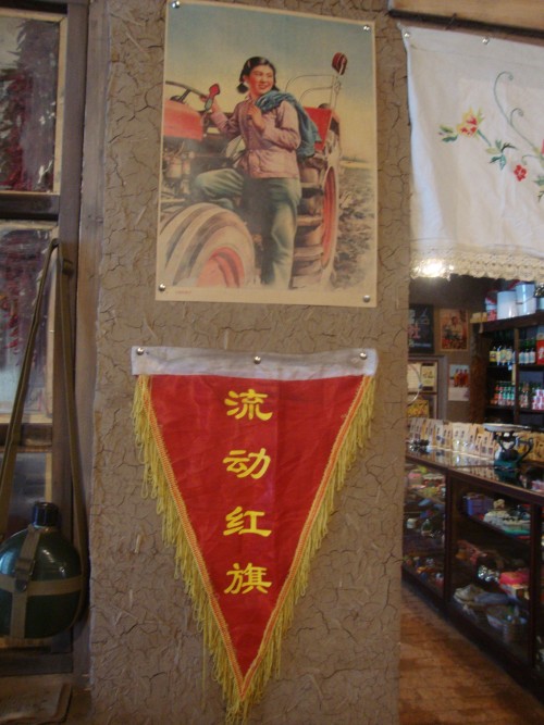 DSC00639_conew1.jpg