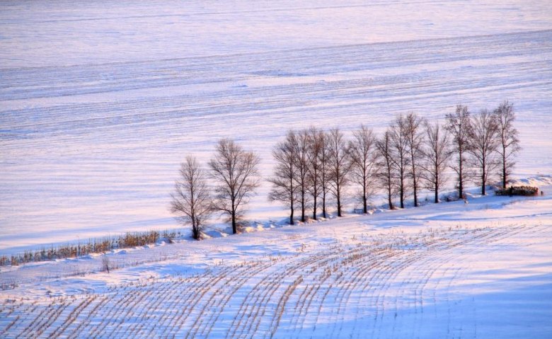2345ͼ20150102221219_conew1.jpg