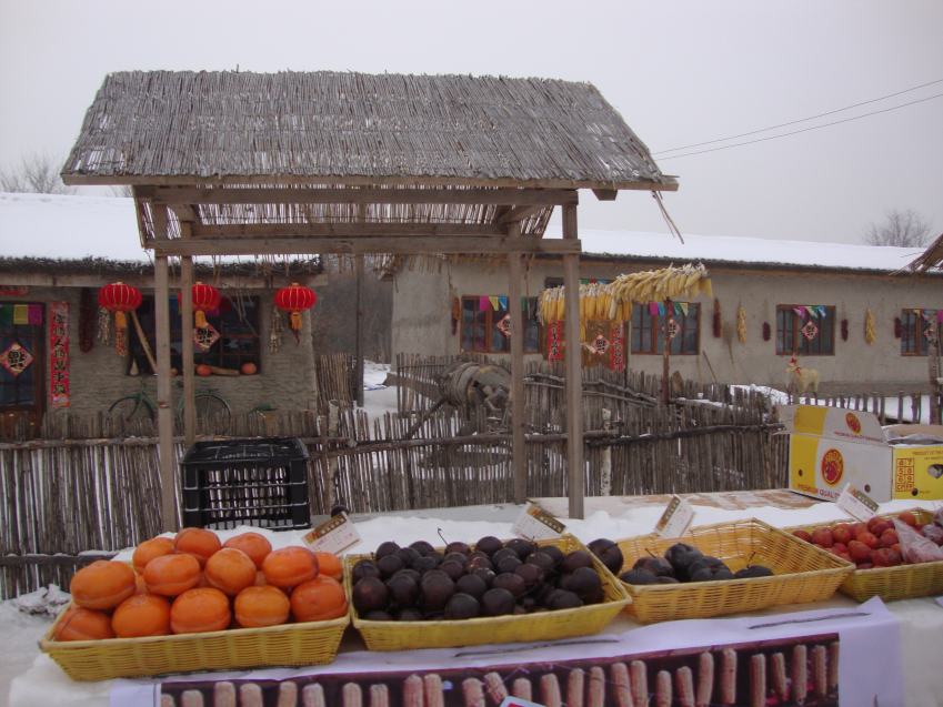 DSC00515_conew1.jpg