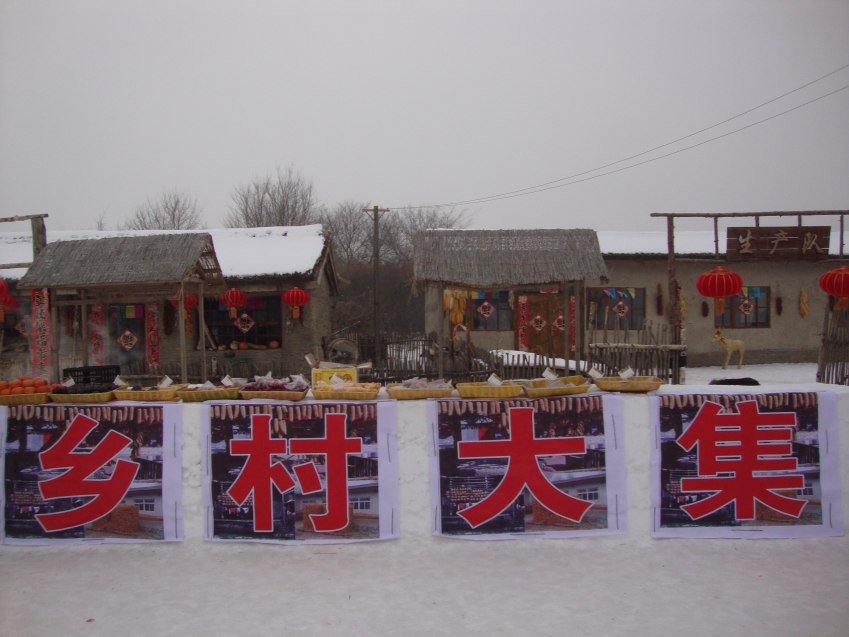 DSC00517_conew1.jpg