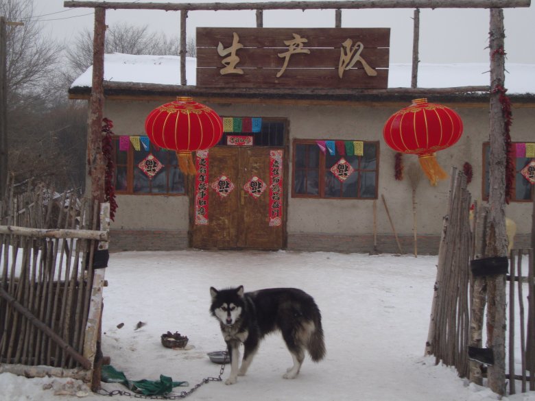 DSC00519_conew1.jpg