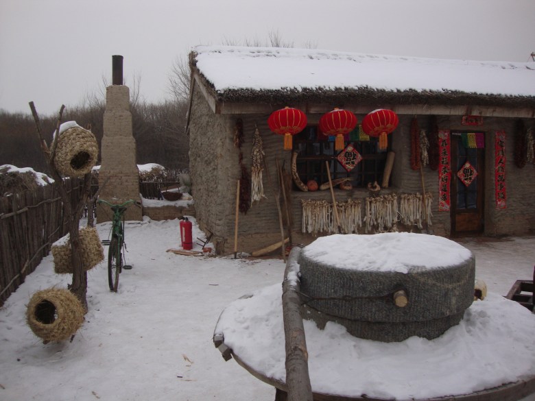 DSC00512_conew1.jpg