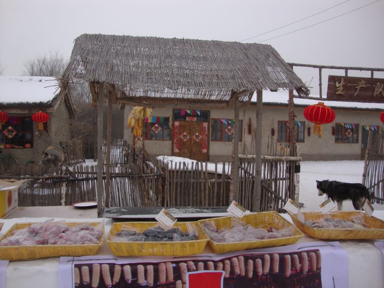 DSC00516_conew1.jpg