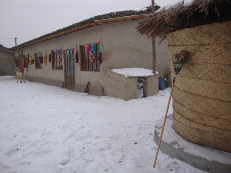DSC00532_conew1.jpg