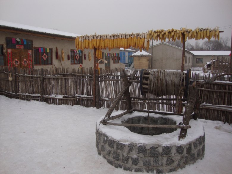 DSC00541_conew1.jpg