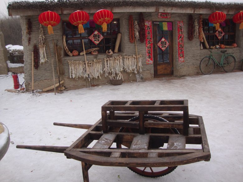 DSC00546_conew1.jpg